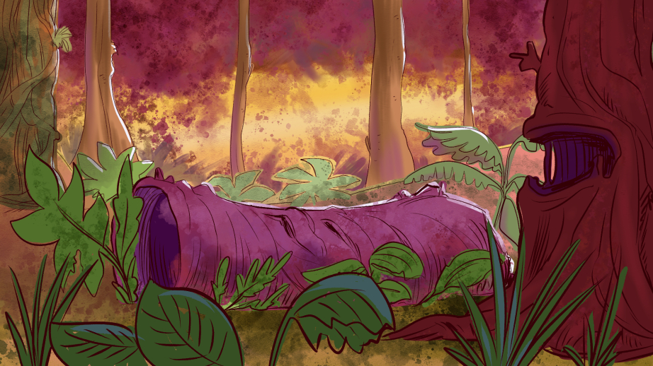 The Magical World of Dinowizard